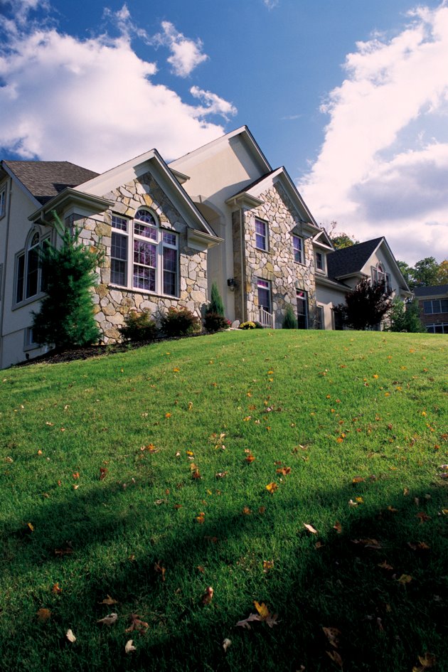 lewis mountain ranch great homes for sale in Austin